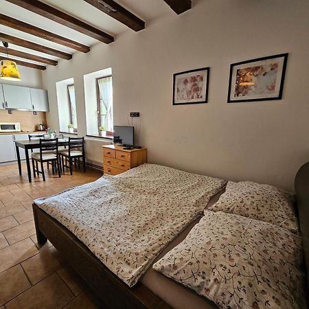 Apartmanove Ubytovani V Koutech Loucna nad Desnou Ngoại thất bức ảnh